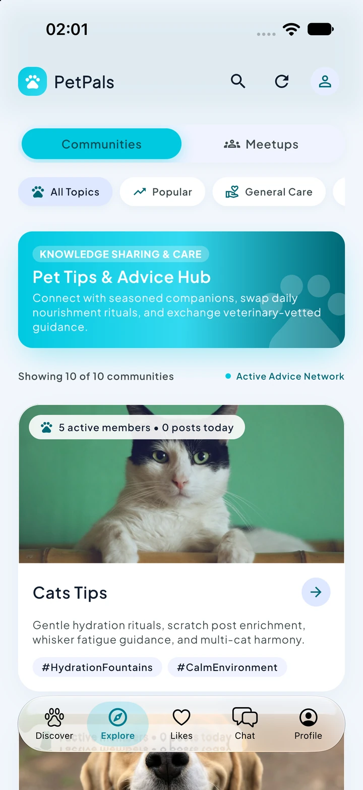 PetPals Explore screen with pet communities and a Cats Tips group